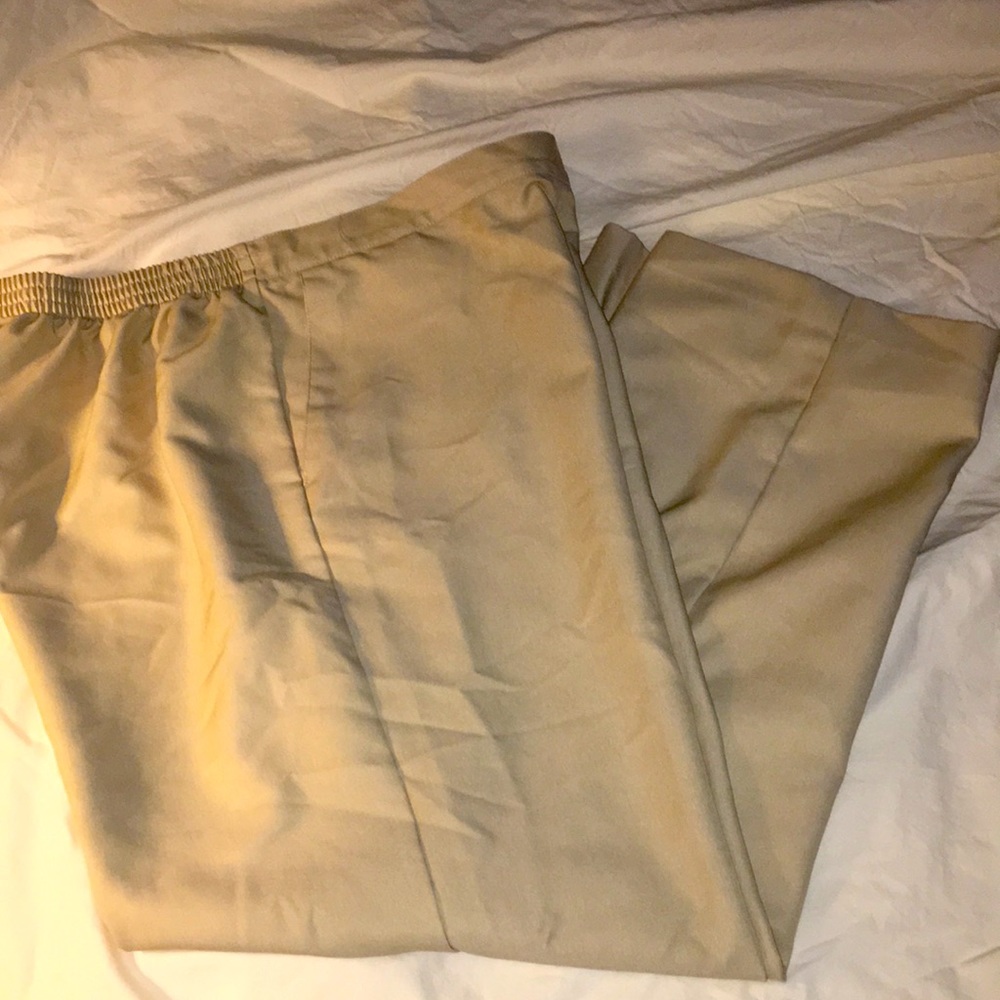 Alfred Dunner ladies pants Size 16 P